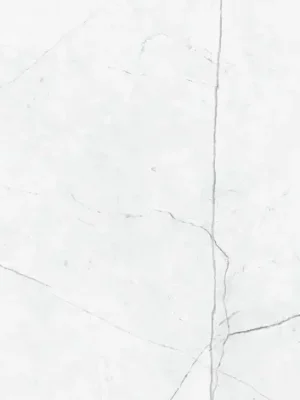 Objednat Nyní VERNAZZA blanco 60x60 | 01S | rekt | R9