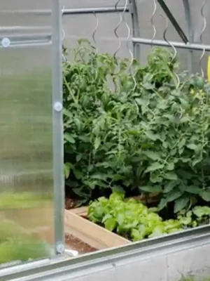 Spodní díl dveří Gutta Autentický