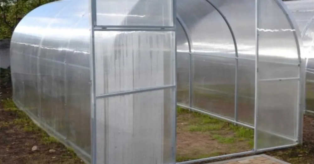 Scobax Pompo polykarbonát 4 mm 4,0 x 2,0 m Poslední Šance