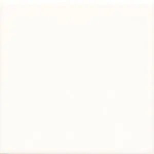 Ihned K Objednání Fabresa UNICOLOR 15 Blanco mate 15x15 (1bal=1m2)