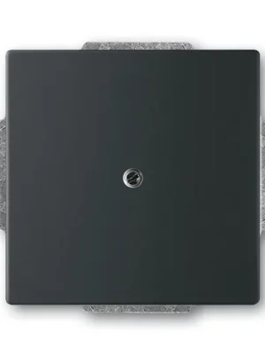 ABB 1710-0-3895 Future® linear Kryt zaslepovací, mechová černá Značkový