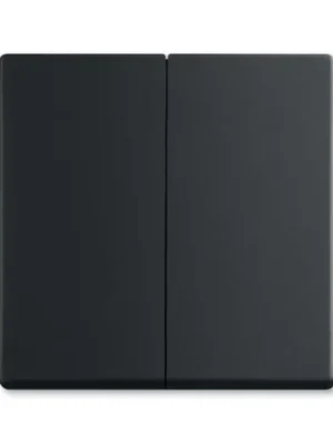 ABB 3559B-A00652885 Future® linear Kryt spínače kolébkového dělený, mechová černá Bezpečná Platba