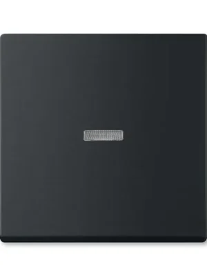 ABB 3559B-A00653885 Future® linear Kryt spínače kolébkového s čirým průzorem, mechová černá Top Prodej